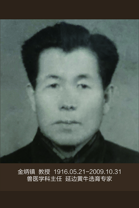 香港和宝典宝典资料大全