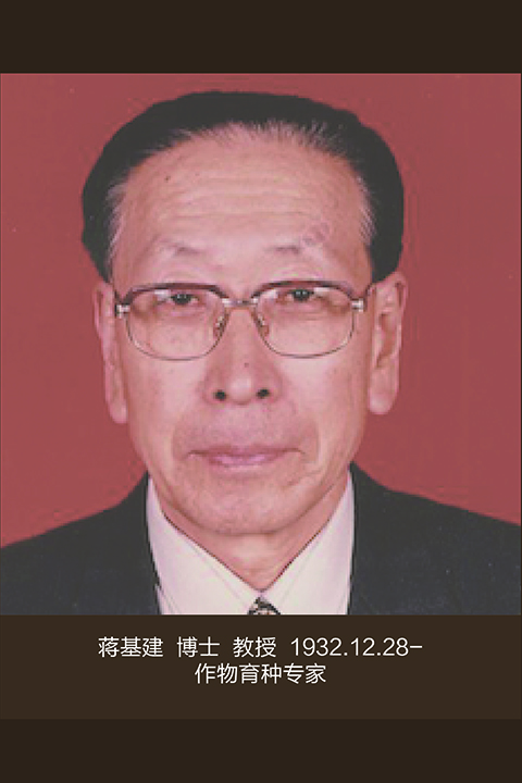 香港和宝典宝典资料大全