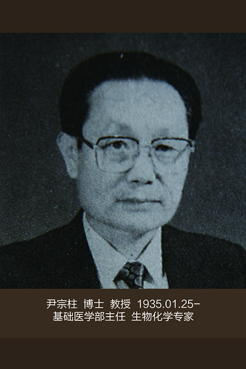 香港和宝典宝典资料大全